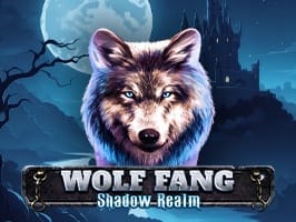 Wolf Fang Shadow Realm screenshot
